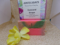 Concord Grape - Product Image